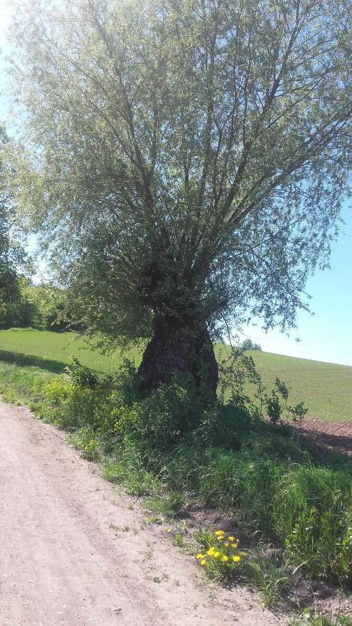 Domek BiałojanY Zewnętrze zdjęcie