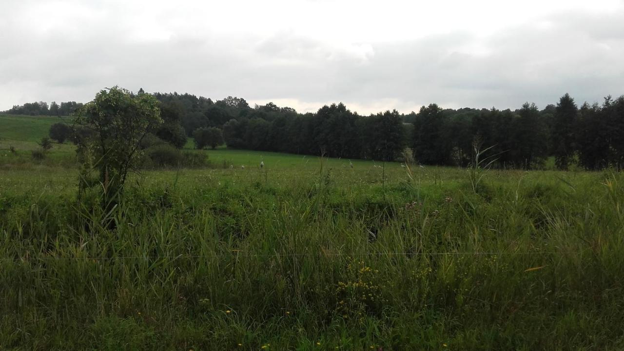 Domek BiałojanY Zewnętrze zdjęcie
